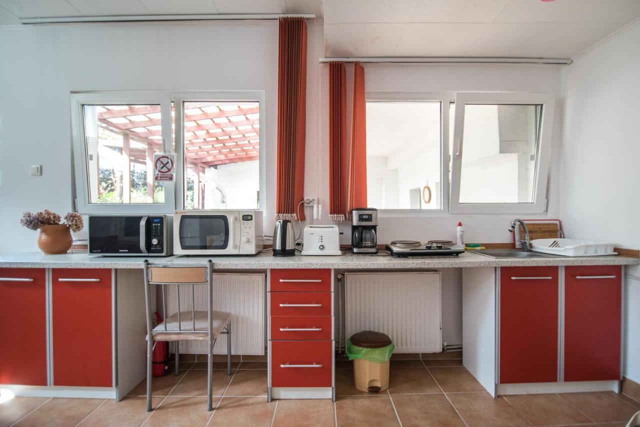 Transylvania Guest House Brasov Ngoại thất bức ảnh